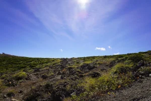 山形県蔵王山の坊平高原