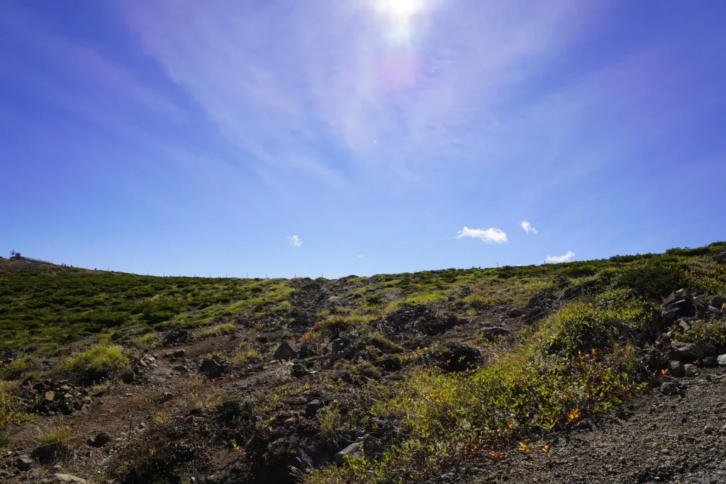 山形県蔵王山の坊平高原